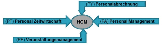 SAP HCM,SAP,Consulting